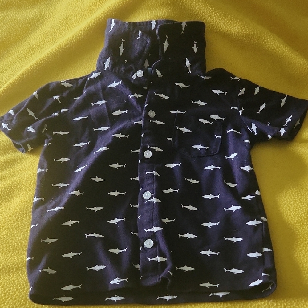 i28  Adorable Shark Shirt by Andy & Evan Blue & White Button Down 98% Cotton